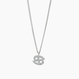 Zodiac Necklace Silver