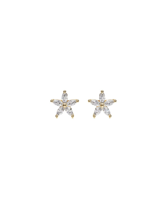 Flower Studs Gold in the group Shop / Earrings at ANI (ANI-0124-021)