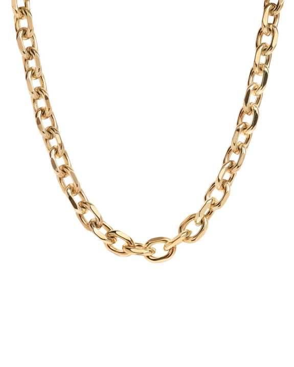 Chain Necklace Large Gold in the group Shop / Necklaces at ANI (ANI-0623-001)