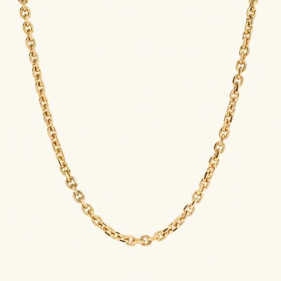 Chain Necklace Small Gold in the group Shop / Necklaces at ANI (ANI-0623-003)