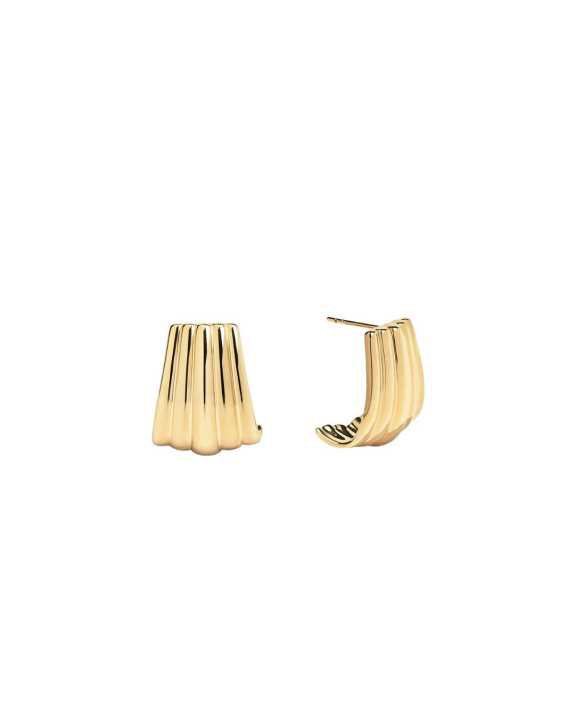 Draped Earrings Gold in the group Shop / Earrings at ANI (ANI-0823-127)