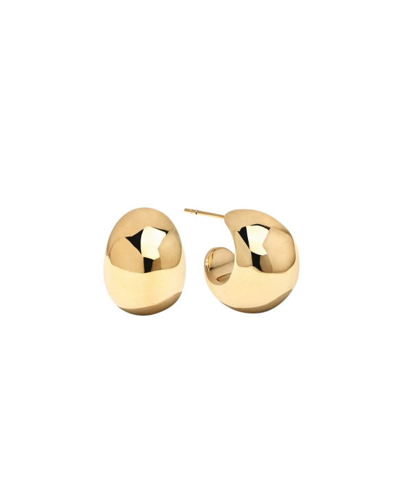 Chunky Dome Earrings Gold in the group Shop / Earrings at ANI (ANI-0823-129)