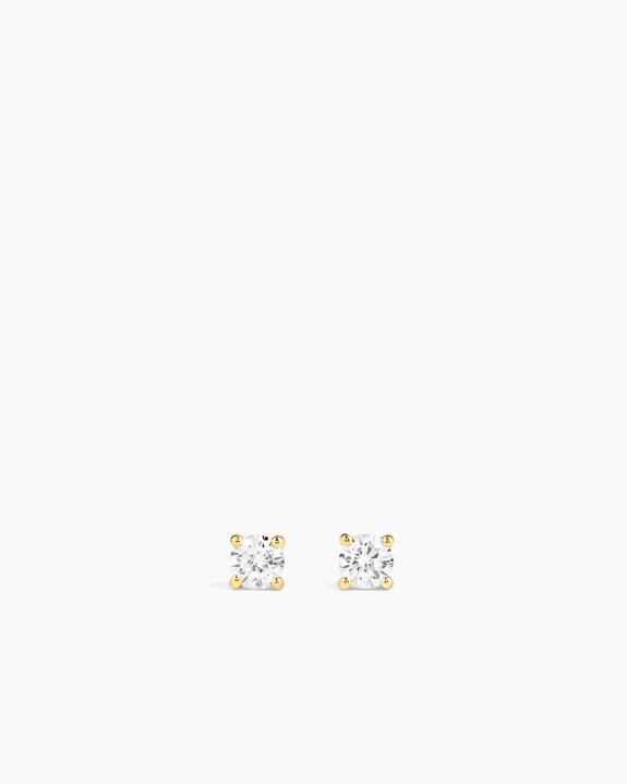 Stud Earrings Gold - 4 mm in the group Shop / Earrings at ANI (ANI-0825-001)
