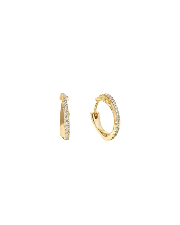 Dualité Hoops Small Gold in the group Shop / Earrings at ANI (ANI-1223-001)