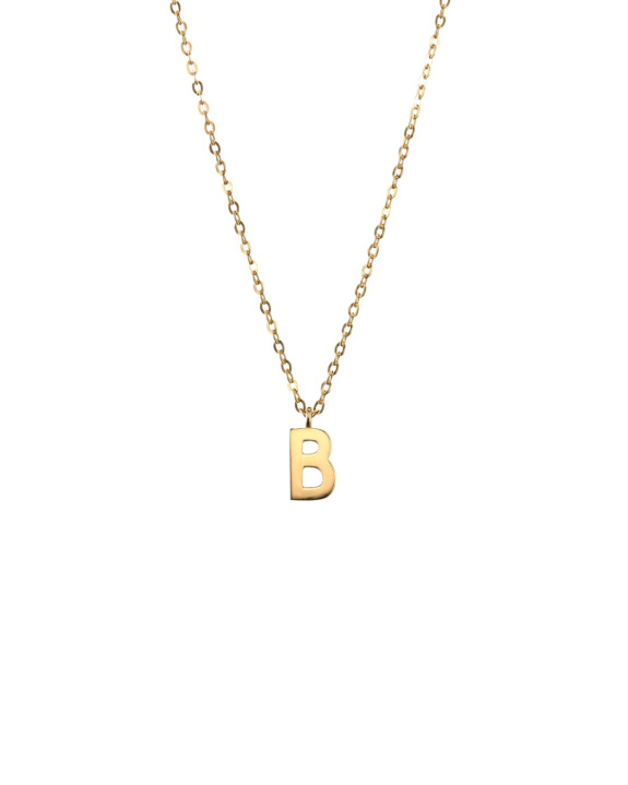 Plain Letter Necklace Gold in the group Shop / Necklaces at ANI (ANI401)