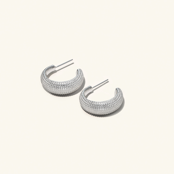 Chunky Hoops Silver in the group Shop / Earrings at ANI (ANI611)