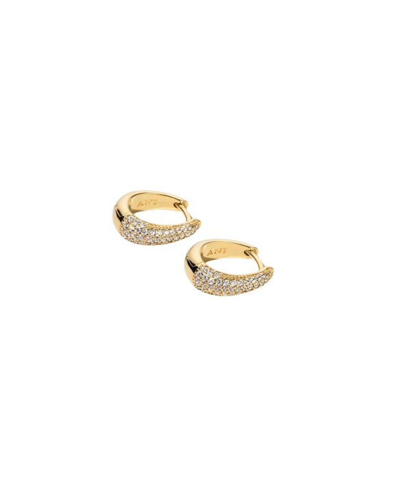 Pavé Ellipse Earrings Gold in the group Shop / Earrings at ANI (ANI695)