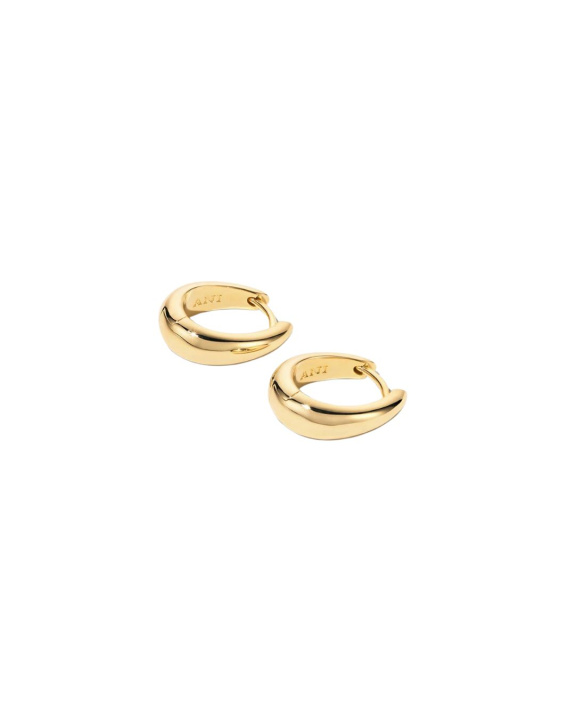 Ellipse Earrings Gold in the group Shop / Earrings at ANI (ANI696)