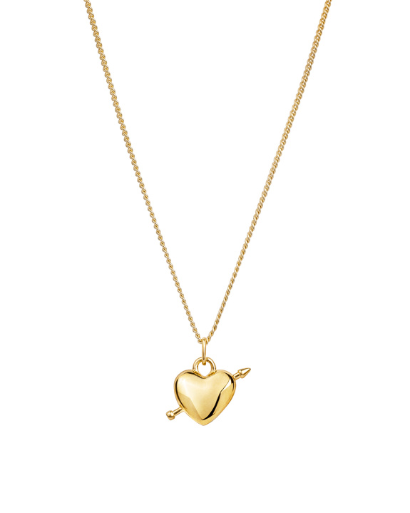 Heart Arrow Necklace Gold in the group Shop / Necklaces at ANI (ANI_SET_056)