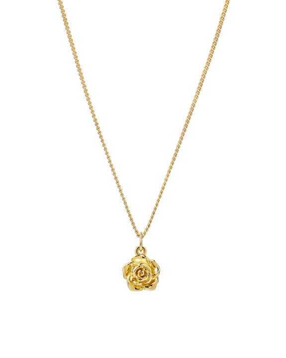 Rose Necklace Gold in the group Shop / Necklaces at ANI (ANI_SET_063)