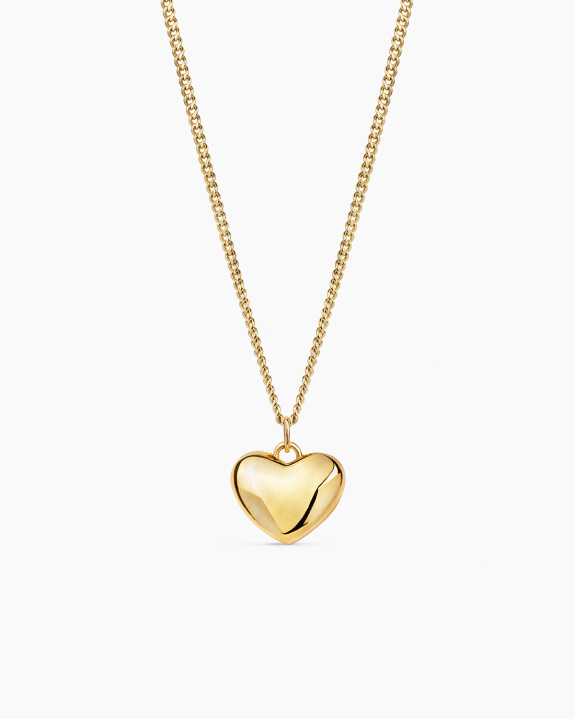 Heart Pendant Necklace Gold in the group Shop / Necklaces at ANI (ANI_SET_080)