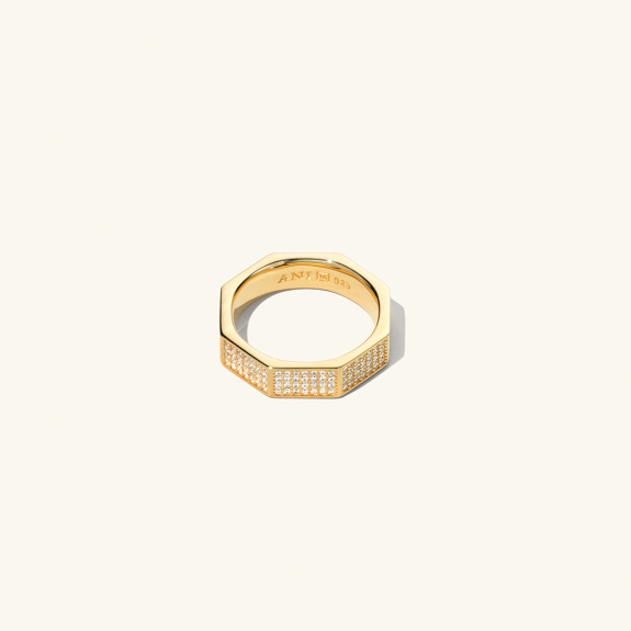 Pavé Chunky Octagon Ring Gold in the group Shop / Rings at ANI (ANI_VA_013)