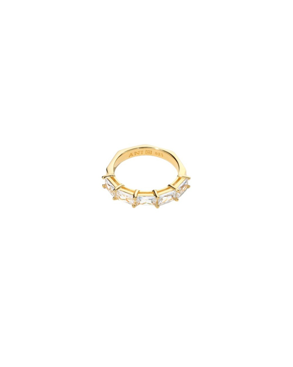 Half Baguette Ring Gold in the group Shop / Rings at ANI (ANI_VA_017)