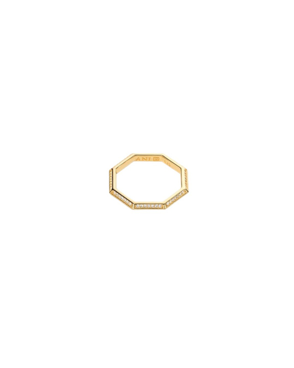 Pavé Triangle Octagon Ring Gold in the group Shop / Rings at ANI (ANI_VA_021)