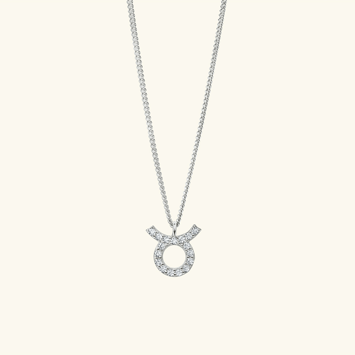 Mas Jewelz zodiac sign necklace Sagittarius Silver