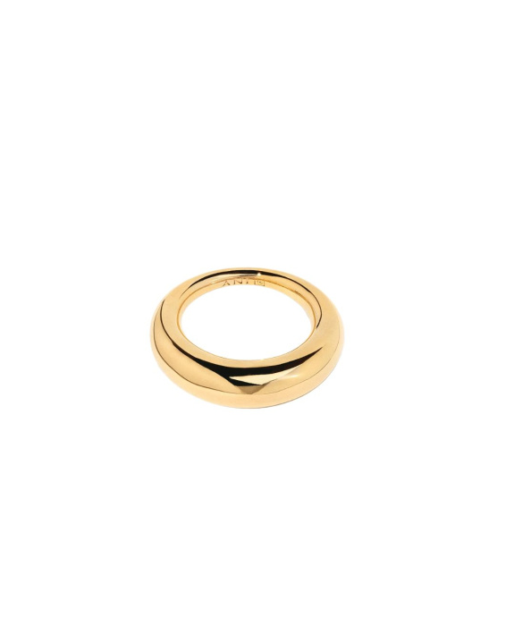 Ellipse Ring Gold in the group Shop / Rings at ANI (ANI_VA_044)