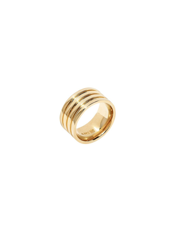 Nezza Ring Gold in the group Shop / Rings at ANI (ANI_VA_072)