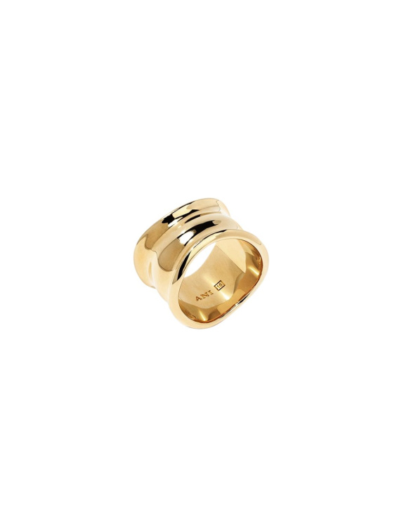 Orca Ring Gold in the group Shop / Rings at ANI (ANI_VA_074)