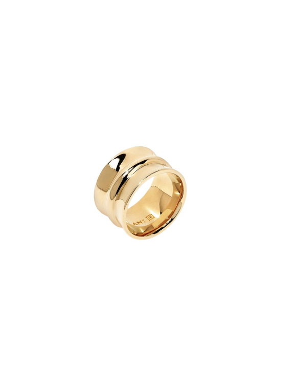 Gaia Ring Gold in the group Shop / Rings at ANI (ANI_VA_076)