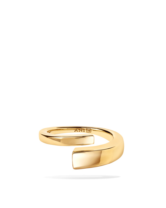Pen Ring Gold in the group Shop / Rings at ANI (ANI_VA_090)