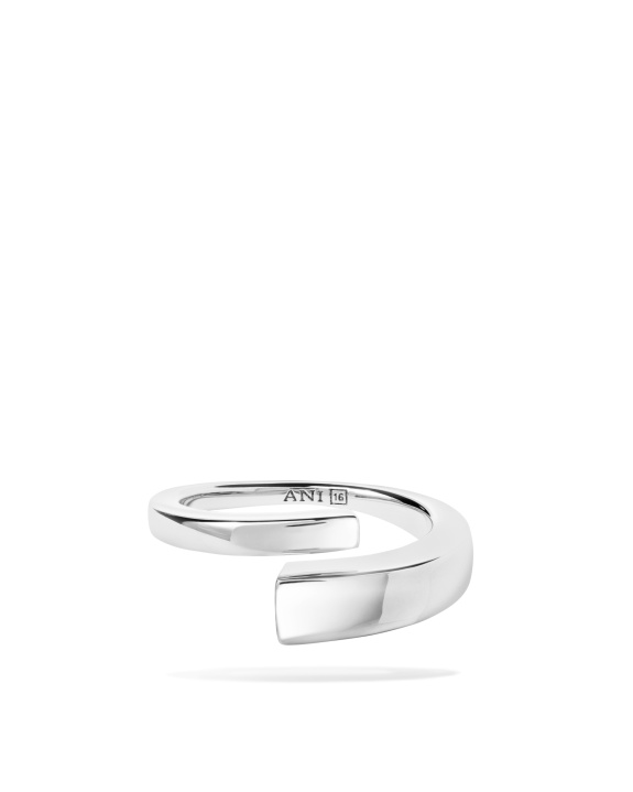 Pen Ring Silver in the group Shop / Rings at ANI (ANI_VA_091)