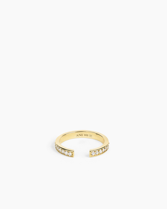 Aperto Pavé Ring Gold in the group Shop / Rings at ANI (ANI_VA_096)