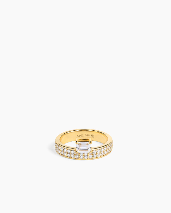 Double Sopra Pavé Ring Gold in the group Shop / Rings at ANI (ANI_VA_098)