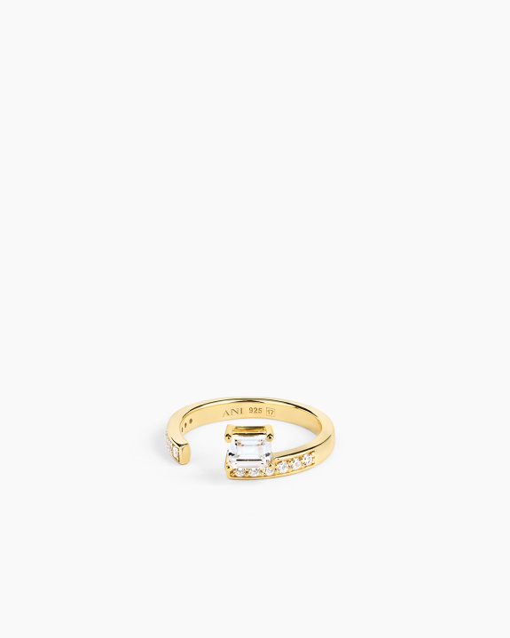 Sopra Aperto Pavé Ring Gold in the group Shop / Rings at ANI (ANI_VA_106)
